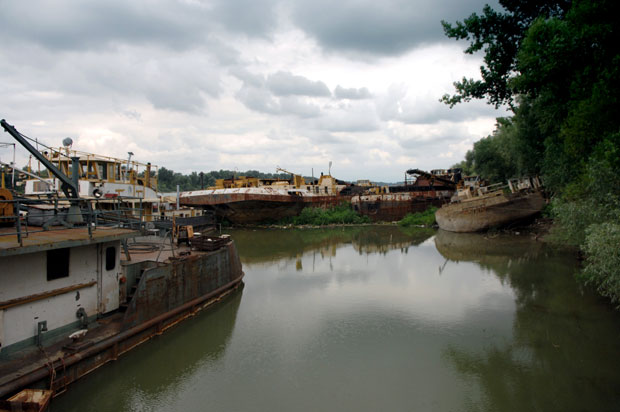 Загађена Сава код Умке
